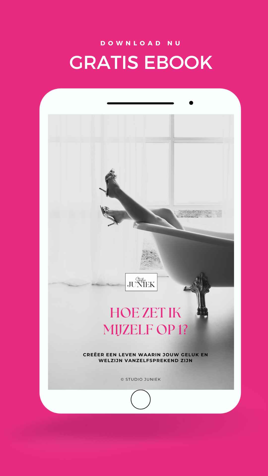 Justa van Heertum portfolio 2